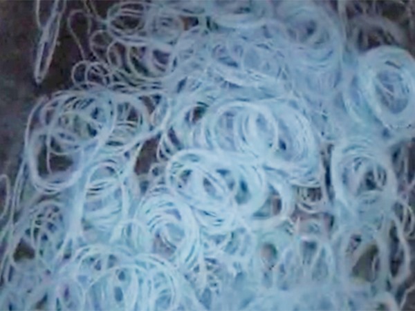 O型圈（quān） 防水油視頻展示